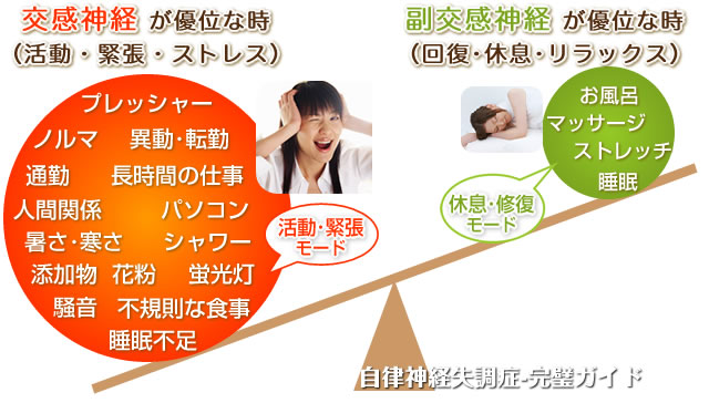 活動と休息のバランス