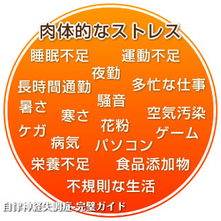 肉体的なストレス